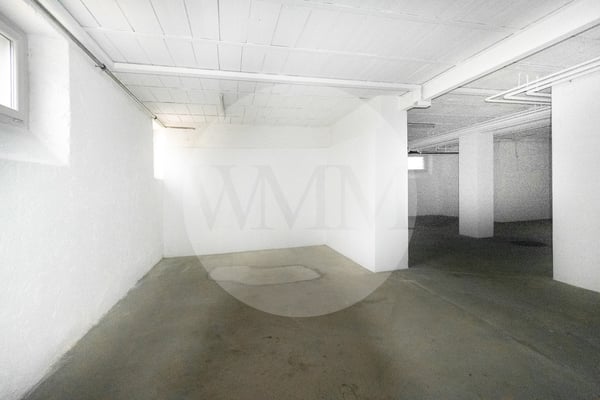 MAGAZZINO CON UFFICIO E ACCESSI INDIPENDENTI 2