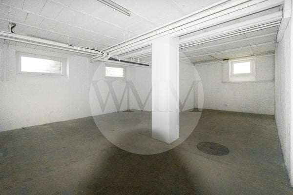 MAGAZZINO CON UFFICIO E ACCESSI INDIPENDENTI 3