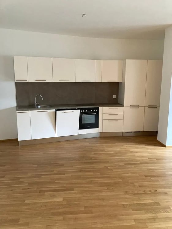 Grazioso appartamento 1.5 locali 2