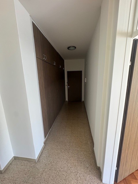 Appartamento di 3 locali RINNOVATO in via delle Aie 6, Lugano 11
