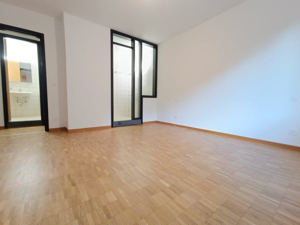 AFFITTASI 1.5 LOCALI A MENDRISIO 8