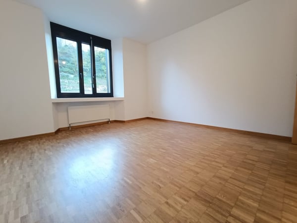 AFFITTASI 1.5 LOCALI A MENDRISIO 9