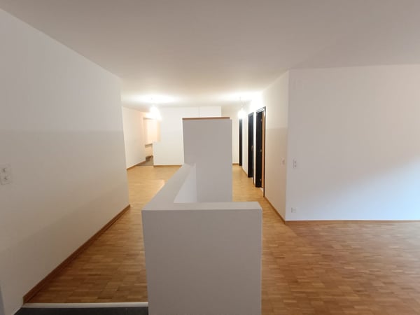 AFFITTASI 1.5 LOCALI A MENDRISIO 2