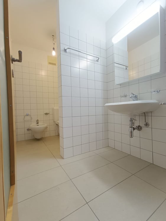 AFFITTASI 1.5 LOCALI A MENDRISIO 14