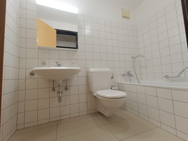 AFFITTASI 1.5 LOCALI A MENDRISIO 15