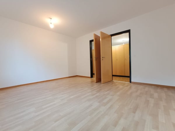 AFFITTASI 1.5 LOCALI A MENDRISIO 12