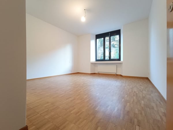 AFFITTASI 1.5 LOCALI A MENDRISIO 10