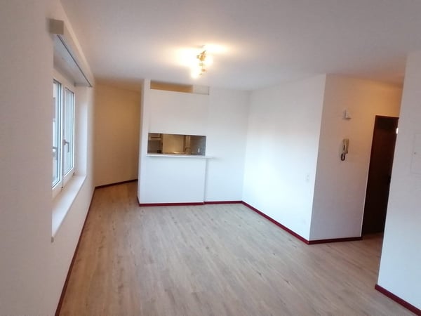 AFFITTASI APPARTAMENTO 2.5 LOCALI A MENDRISIO 1