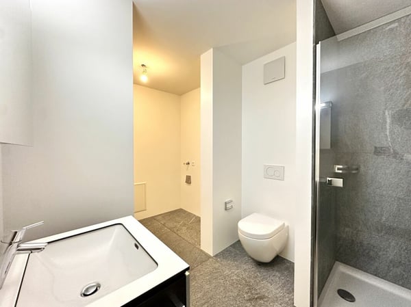 Esclusivo appartamento 1.5 locali con vista mozzafiato sul Lago Maggiore 8