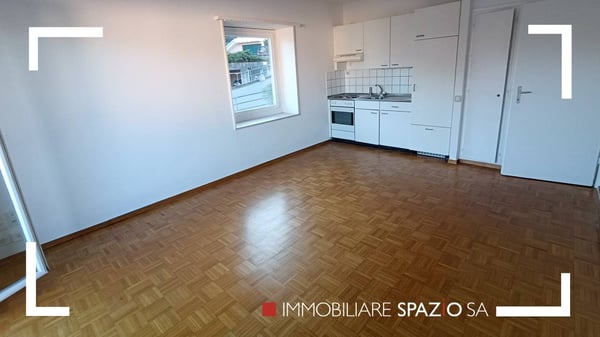 Breganzona 2 locali - 1P 2