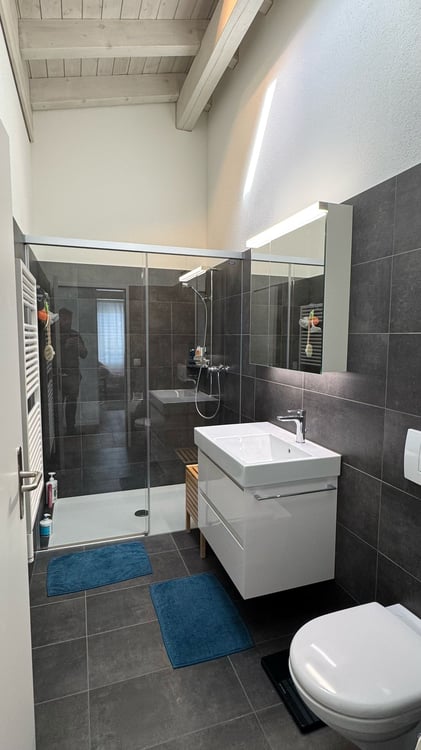 Traumhafte Dachwohnung mit riesengrosser Terrasse mit Blick auf das Luzerner Seebecken 10