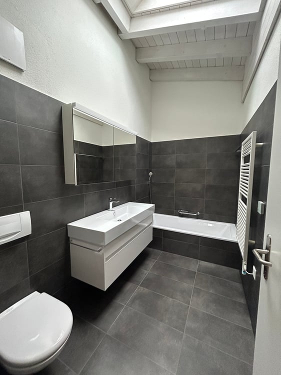 Traumhafte Dachwohnung mit riesengrosser Terrasse mit Blick auf das Luzerner Seebecken 9