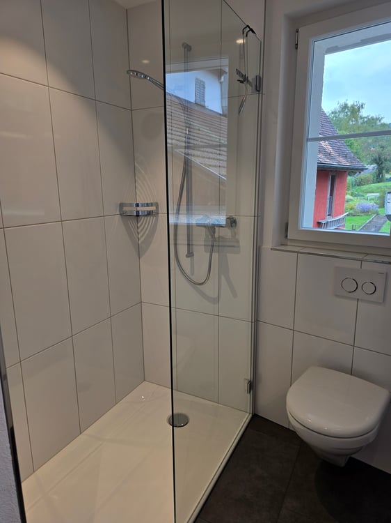 Erstvermietung nach Renovation der Wohnung 2