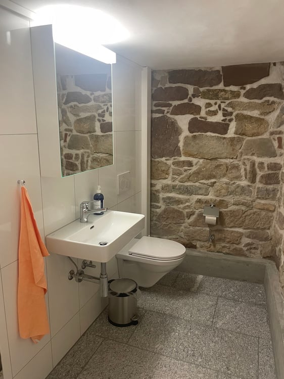 Sanierter Gewölbekeller mitten in Hallau 6