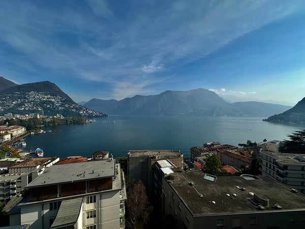 Splendido attico di 1.5 locali con vista panoramica a Lugano 11