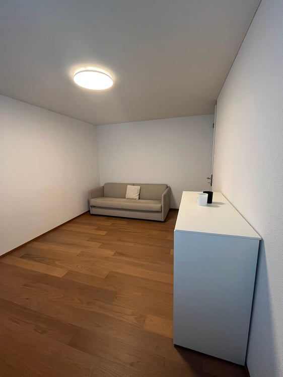 WOHNEN AM GRIENBACH - freistehendes 5.5-Zimmer-Einfamilienhaus in ruhigem Wohnquartier! 9