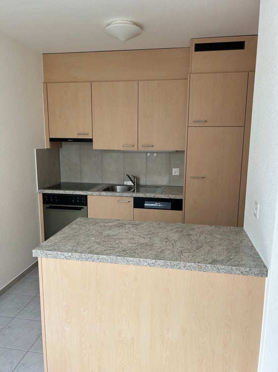 Gemütliche 2.5-Zimmer-Dachwohnung in Bettlach – ruhige Lage mit viel Sonne 3