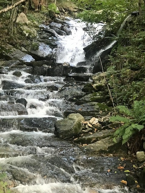 The image shows a cascading waterfall flowing over rocky terrain surrounded by lush green vegetation. The stream flows through a forested area with moss-covered rocks and fallen leaves along the banks.