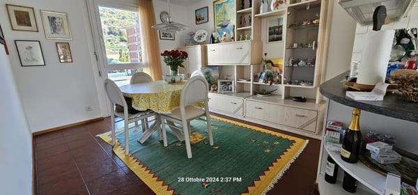 Ponte Capriasca bellissimo Atticon con vista, pace e tanta luce 4