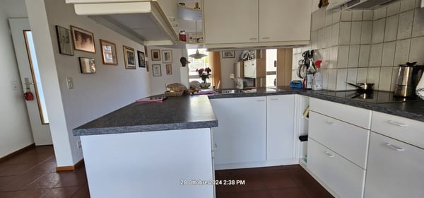 Ponte Capriasca bellissimo Atticon con vista, pace e tanta luce 9