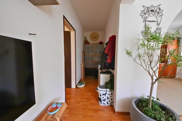 Spazioso 1.5 Locali con Grande Giardino privato 7