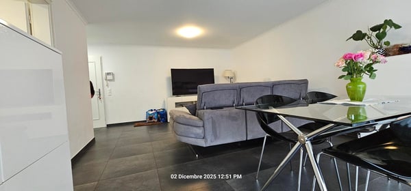 Elegante appartamento di 1.5 locali con vista panoramica a Locarno 6