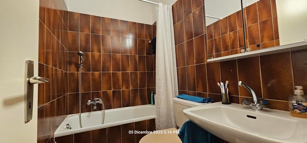 Accogliente appartamento 1.5 locali a Biasca con garage 5