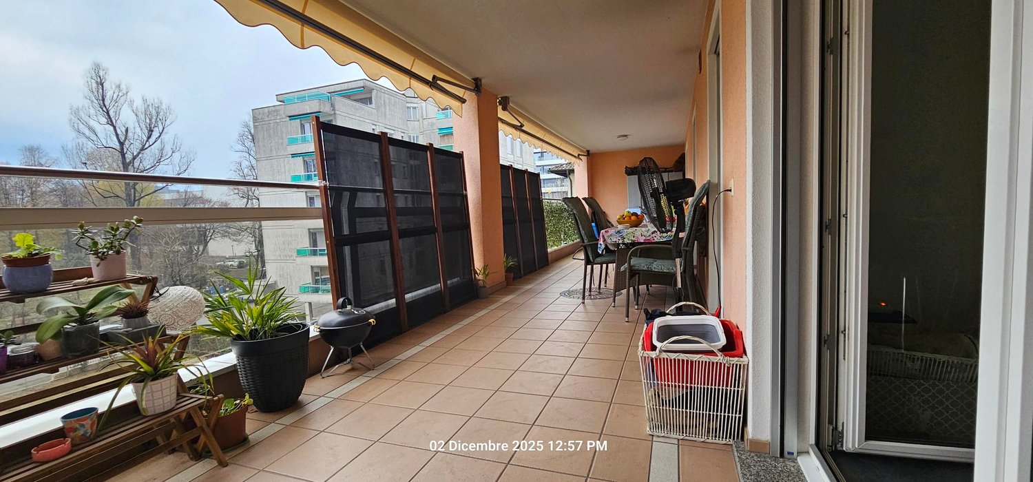 A balcony with various potted plants, a dining table with chairs, a storage box, a fan, a grill, and a rug. The balcony offers a view of the street and the surrounding area, with buildings and trees visible.