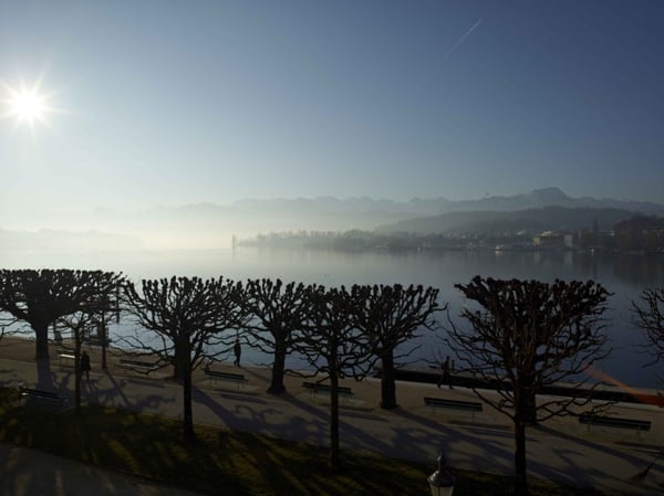 Grosszügige Büroeinheit 3