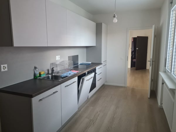 Appartamento 1.5 locali in Via Industria 20 / Vicolo Bena 18