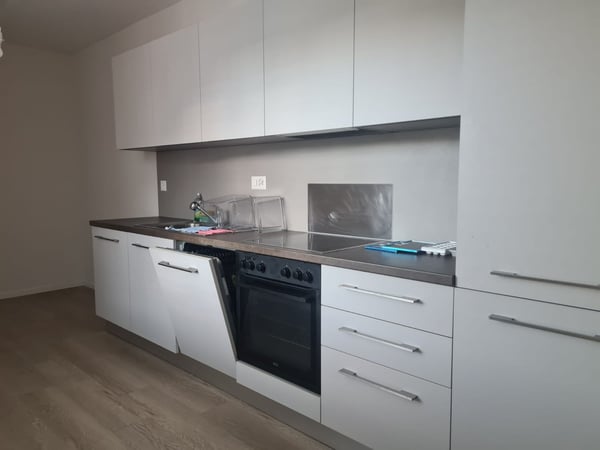 Appartamento 1.5 locali in Via Industria 20 / Vicolo Bena 15