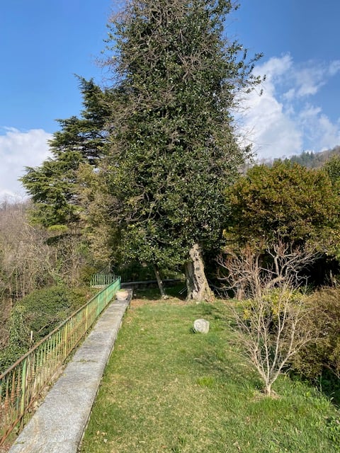 Grande casa d’epoca con giardino di mq 1.000 5
