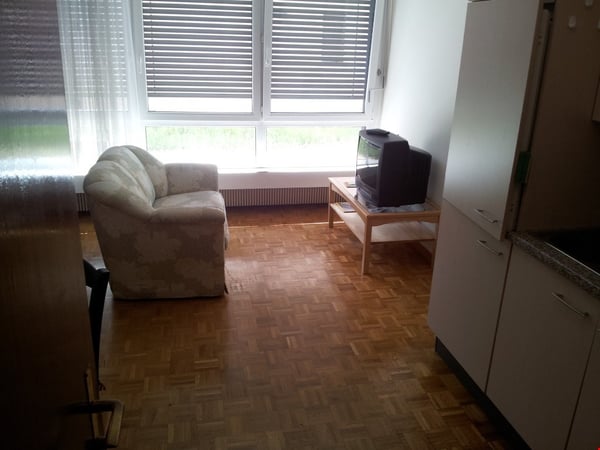 Appartamento di 2 locali a Massagno 2