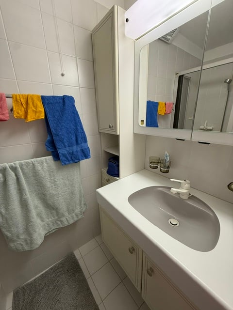 Accogliente appartamento di 2 locali con balcone e vista sulle montagne a Ponte Capriasca 7