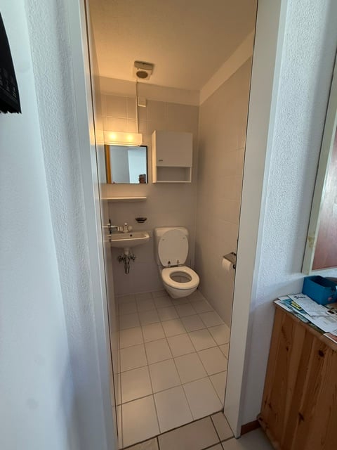 Accogliente appartamento di 2 locali con balcone e vista sulle montagne a Ponte Capriasca 6