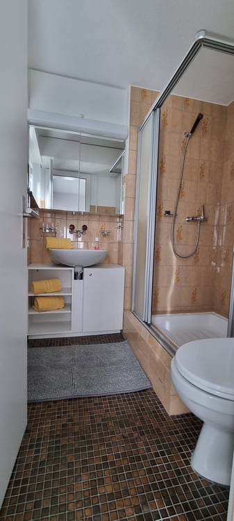 Helle 1 Zi-Wohnung mit Terrasse und Parkplatz 7