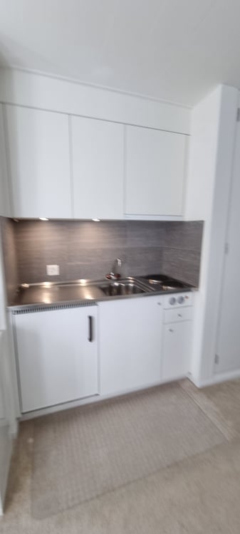Helle 1 Zi-Wohnung mit Terrasse 4