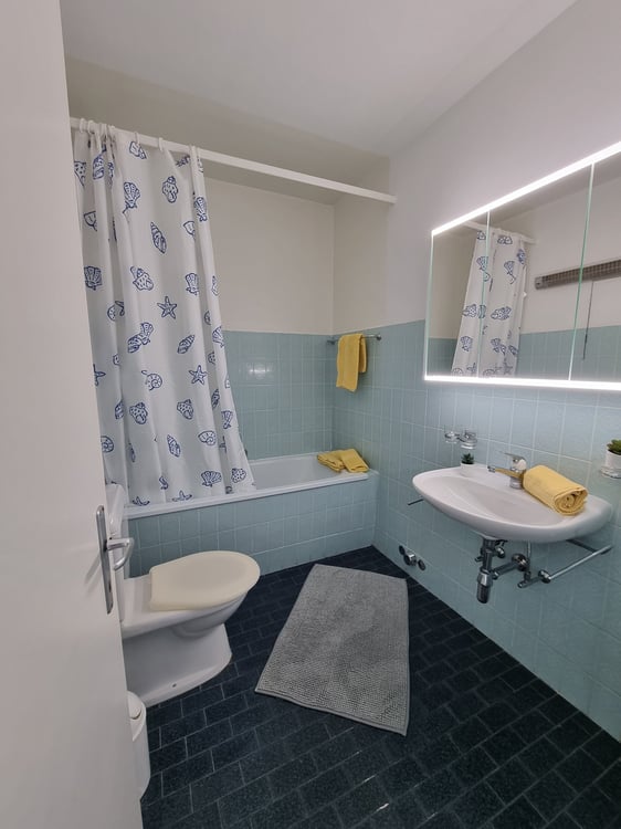 Wunderschöne 2.5 Zi-Wohnung mit Balkon in Ascona 8