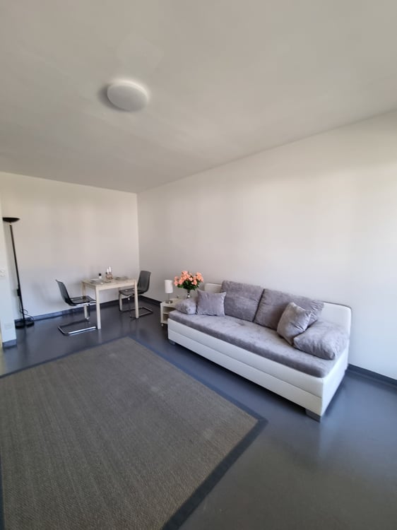 Wunderschöne 2.5 Zi-Wohnung mit Balkon in Ascona 4