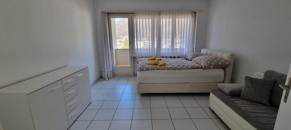 Schöne 1 Zi-Wohnung mit Terrasse, 4