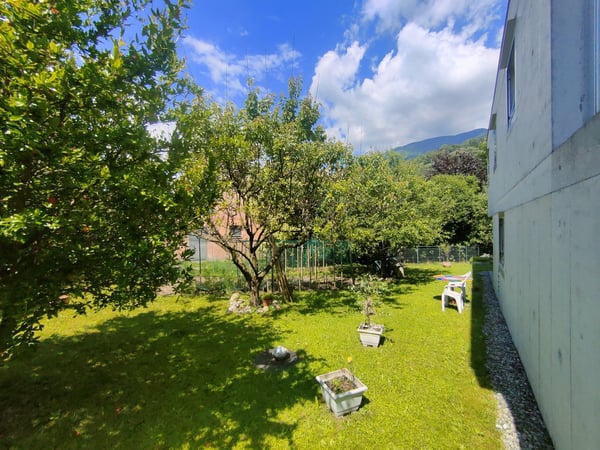 Meravigliosa villa immersa nel verde nella collina di Giubiasco in località Lôro 16