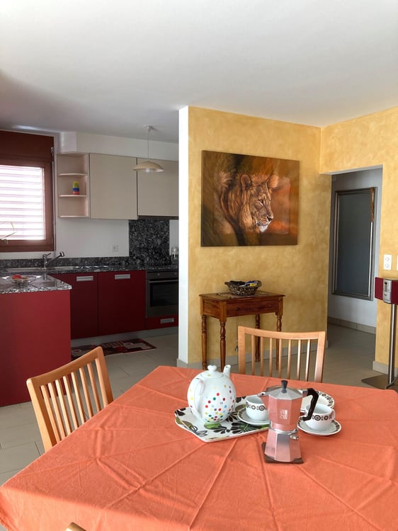 Dachwohnung 4 ½ Zimmer mit Garten in Giubiasco 8