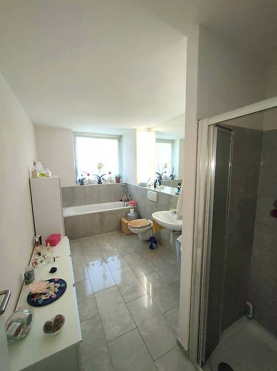 Meravigliosa villa immersa nel verde a Giubiasco (Lôro) 8