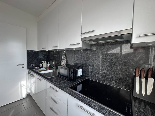 2 ½ locali ammobiliato con vista lago a Muralto 6