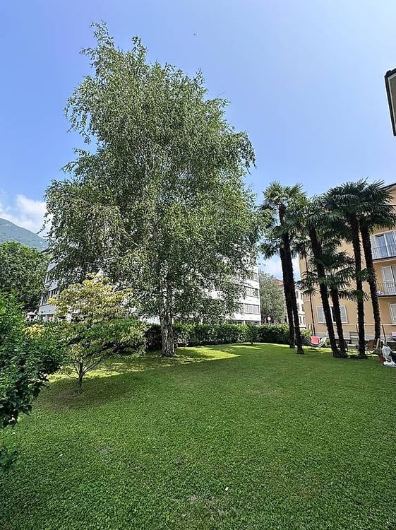 5.5 locali Bellinzona Quartiere San Giovanni 4