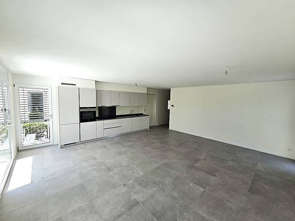 Splendido 4.5 locali con giardino a Claro 2