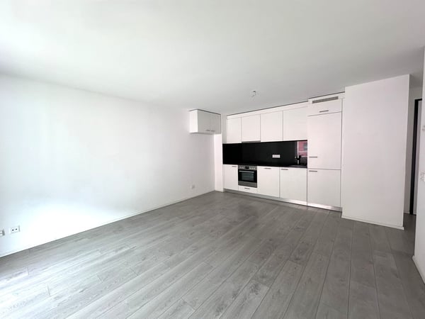 Moderno appartamento 2.5 locali con balcone a Cadenazzo 6