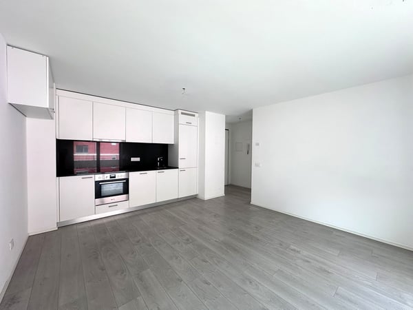 Moderno appartamento 2.5 locali con balcone a Cadenazzo 5