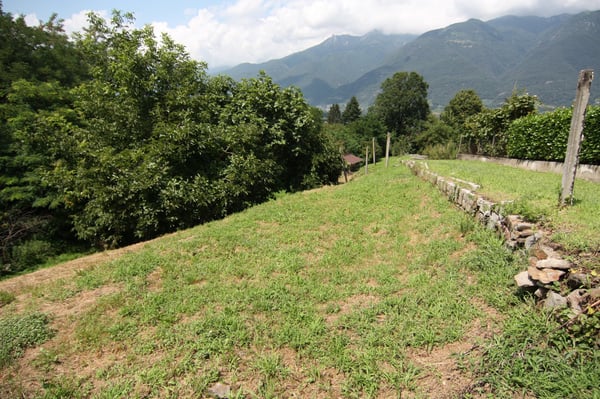 Terreno edificabile Cadenazzo 4