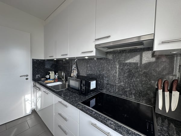 1 ½ locali ammobiliato con vista lago a Muralto 17